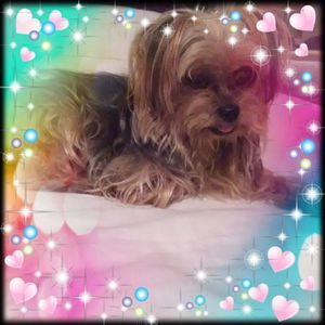 Meet your Posher, Joann